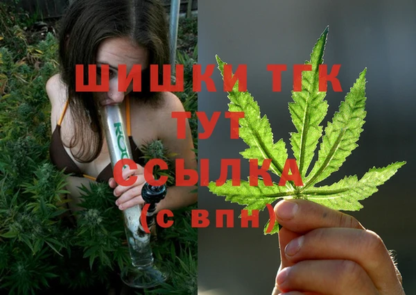соль ск Аркадак