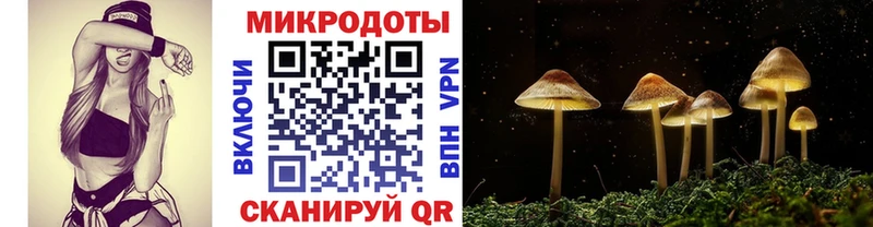 кракен tor  Белогорск  Псилоцибиновые грибы прущие грибы 